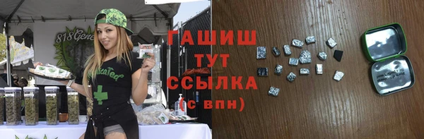 молекула духа Снежинск