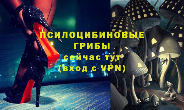 эйфоретик Алексин