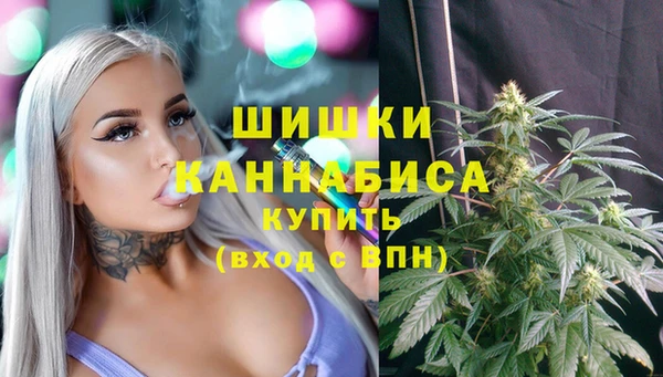 молекула духа Снежинск