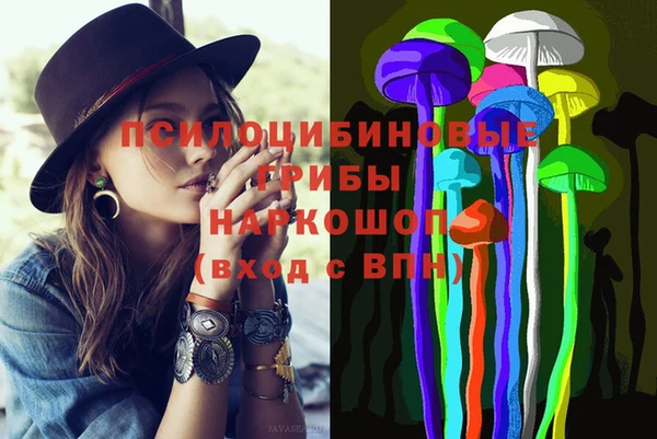 трава Снежногорск