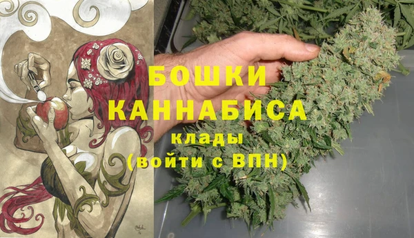 дмт Дубна