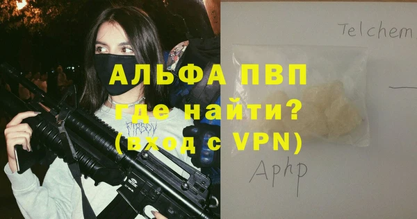 молекула духа Снежинск