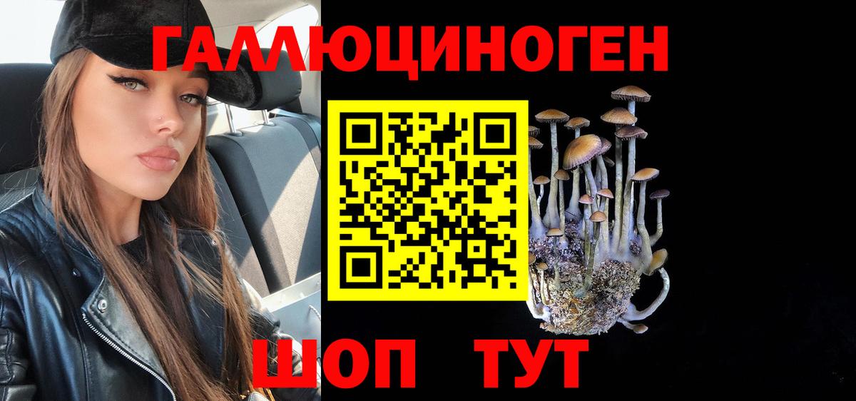 Псилоцибиновые грибы прущие грибы Бугуруслан